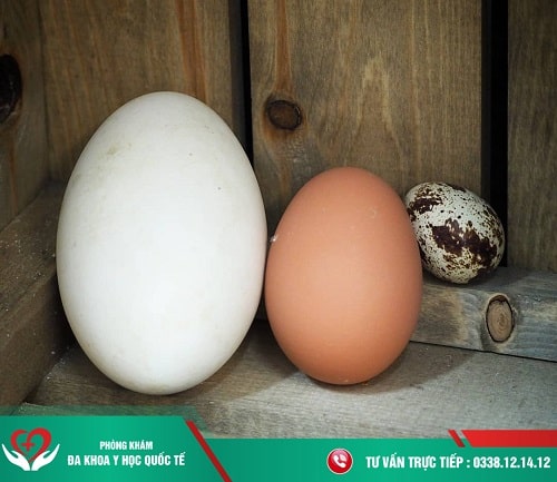 Bà bầu ăn trứng ngỗng có tốt hơn trứng gà không ?